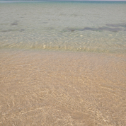 삼포해변