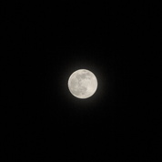 2008년의 제일 큰 보름달